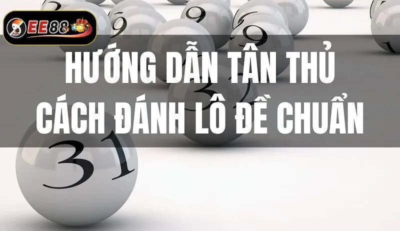 Bí quyết đánh bao lô từ các bậc thầy